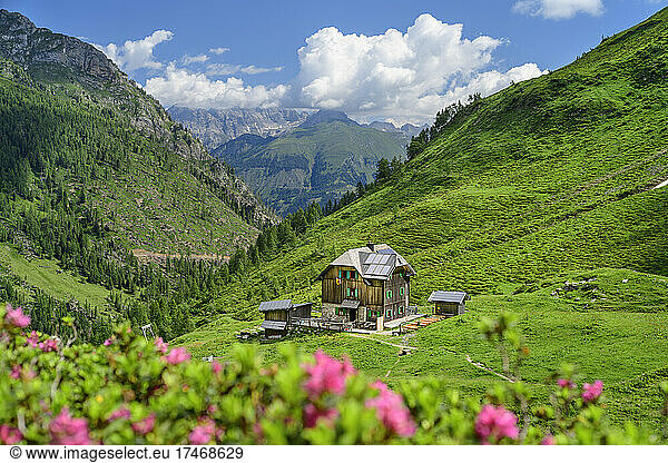 Mountain cabin on field at Carinthia  Austria