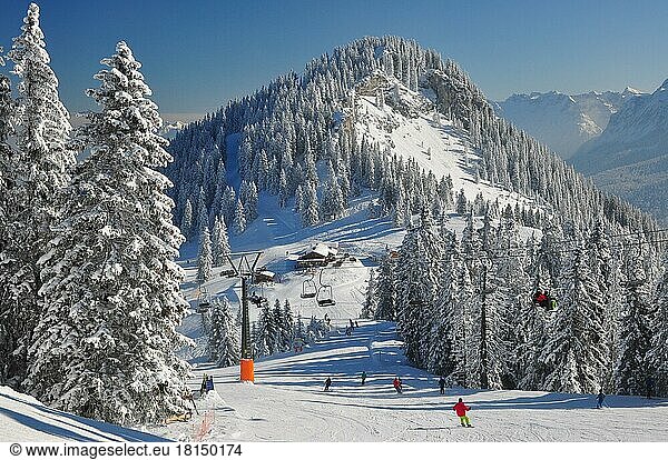 Mountain forest  ski area  ski slope  Kreuzeck  Bavaria  Werdenfels  Garmisch-Partenkirchen  Germany  Europe