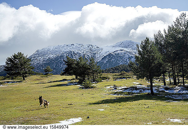 mountain landscape in snowy winter