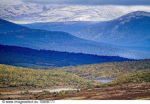 Mountain landscape  river  Dovrefjell-Sunndalsfjella National Park  Norway  Europe