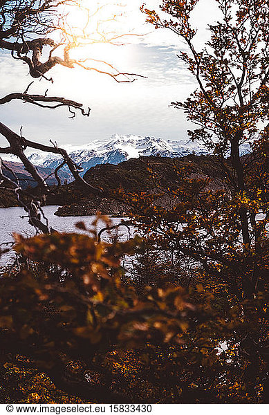 Mountain landscape through branches of autumn trees