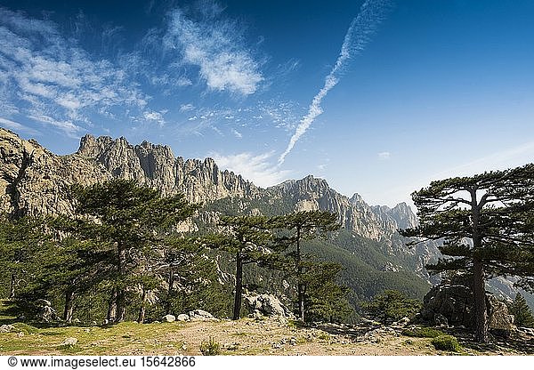 Mountain massif with rocky peaks and pines  Col de Bavella  Bavella massif  Corsica  France  Europe