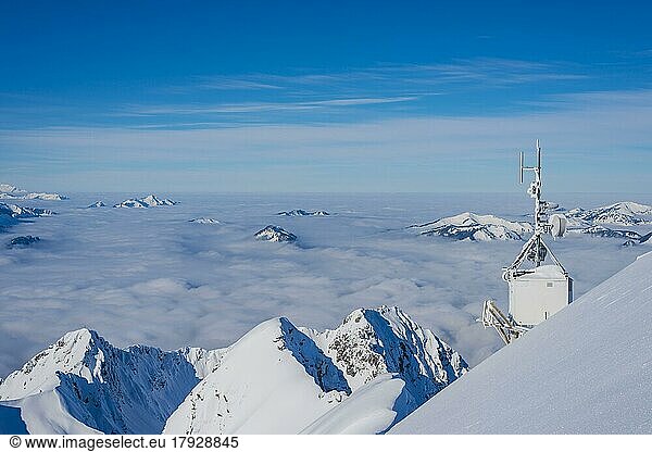 Mountain panorama in winter  snow-covered mountain peaks rise above cloud cover  view from Nebelhorn  2224m  Allgäu Alps  Allgäu  Bavaria  Germany  Europe