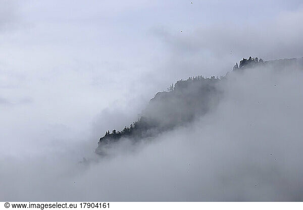 Mountain peak shrouded in thick fog