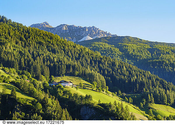 Mountain psture Oberkartnall and Hoher Burgstall mountain  Stubai Alps  Tyrol  Austria