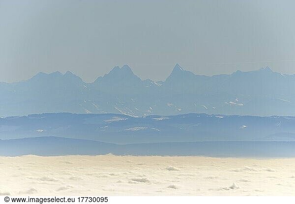 Mountain range of Alps with Matterhorn seen from Vosges in good weather. Alsace  France  Europe