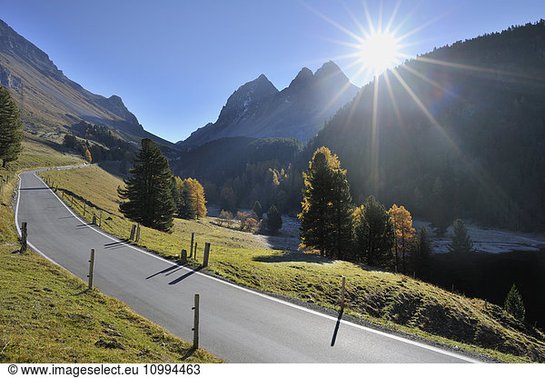 Mountain Road and Bright Sun  Albula Pass  Canton of Graubunden  Switzerland