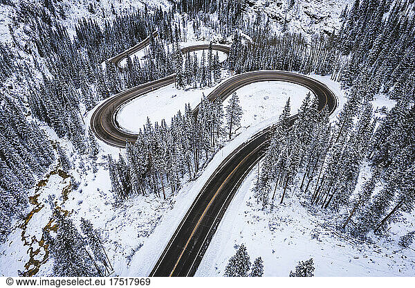 mountain road snakes through pine trees in winter  Colorado