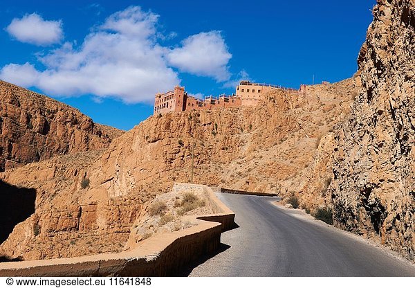 Mountain Road  Winding road  Dades Valley  Sinuous road  Dades Gorges  High Atlas  Morocco.
