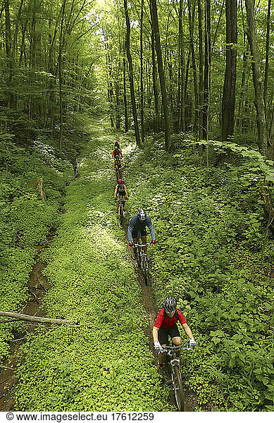 Mountainbiker auf dem Props Run  einem Single-Trail-Trail; Monongahela National Forest  Slatyfork  West Virginia.