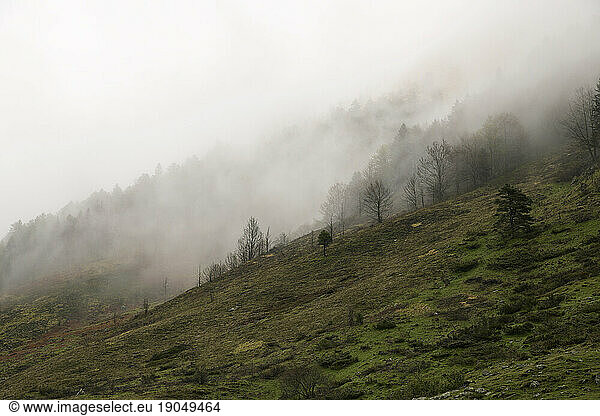 Mountainous landscape with fog in Lescun Valley  Pyrenees  France.