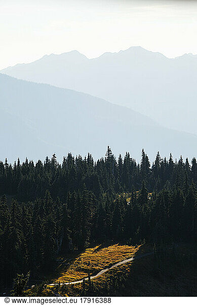 Mountains of Hurricane Ridge in Olympic National Park.