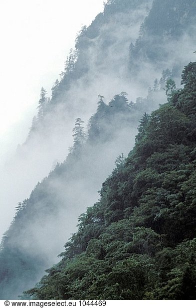 Mountainsides in fog. Wolong Tal  Wolong Valley. Himalaya  China