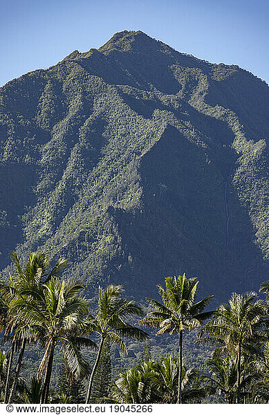 Mountaintop of Na'Pali Coast  Kauai