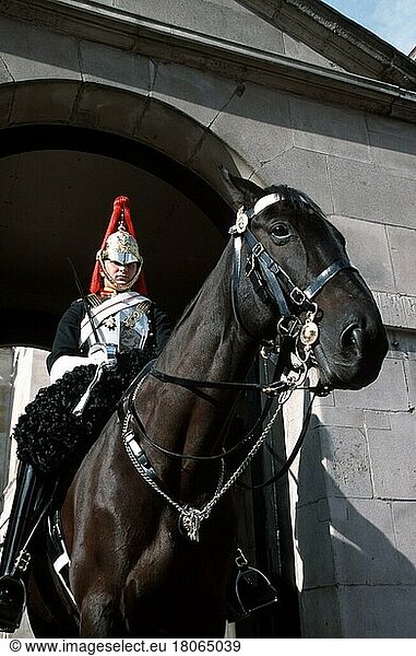 Mounted Horse Guard Soldier  Whitehall  London  England  Great Britain  Horse Guards Mounted Guard Soldier  Great Britain  Europe  human & animal  human & animal  vertical