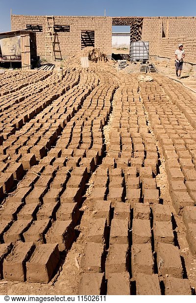Mud bricks layed out in the sun to dry at home construction site near Shymkent Kazakhstan.