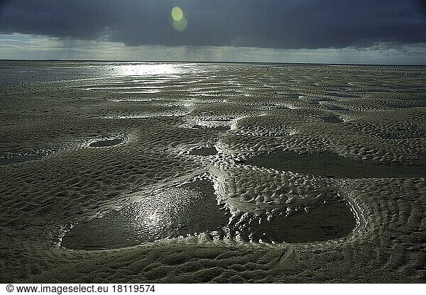 Mudflats at low tide  Schleswig-Holstein Wadden Sea  North Frisia  Schleswig-Holstein  Germany  Europe