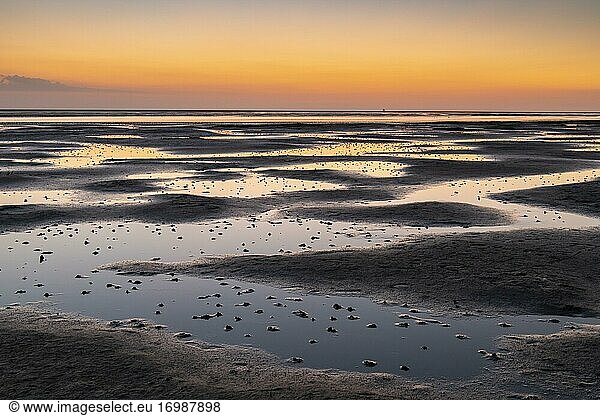 Mudflats in the evening light  beach at low tide  Wadden Sea National Park  North Sea  North Frisia  Schleswig-Holstein  Germany  Europe