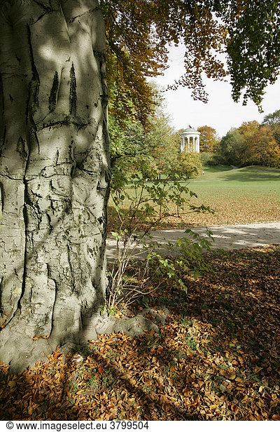 Muenchen  DEU  25.10.2004 - Der Monopteros im Englischen Garten in Muenchen. Der Rundtempel in griechischem Stil wurde 1836 von Leo von Klenze errichtet  auf einem aufgeschuetteten Huegel  der ab 1832 von Carl August Sckell aus Bauschutt der Muenchner Residenz errichtet wurde.