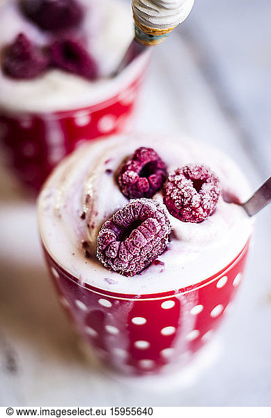 Mug of homemade soft ice cream with raspberries