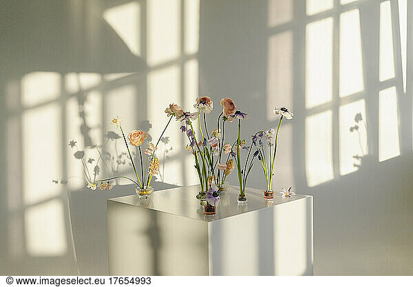 Multi colored flowers on white table