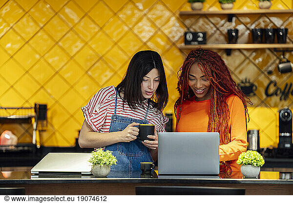Multi-ethnic business colleagues looking at laptop in modern workplace