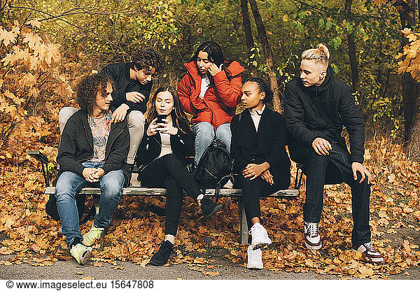 Multi-ethnic friends looking at teenage girl using mobile phone while sitting on bench at park