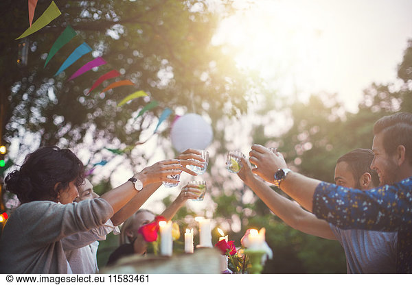 Multi-ethnic friends toasting drinks at garden party