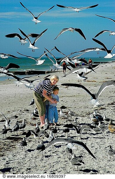 Multi generational family with grandmother and two grandchildren at a florida beach feeding seagulls.