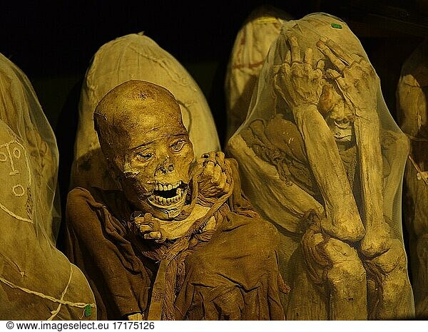 Mumien der Chachapoya Kultur im Museum von Leymebamba  Provinz Chachapoyas  Region Amazonas  Peru  Südamerika