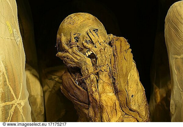 Mumien der Chachapoya Kultur im Museum von Leymebamba  Provinz Chachapoyas  Region Amazonas  Peru  Südamerika