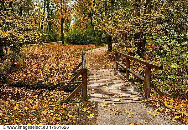Munich English garden Englischer garten park  Autumn colours on trees and leaves and old wooden bridge over stream  Munchen