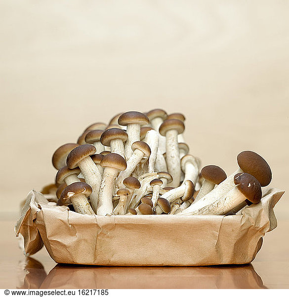 Mushrooms in paper box  close-up