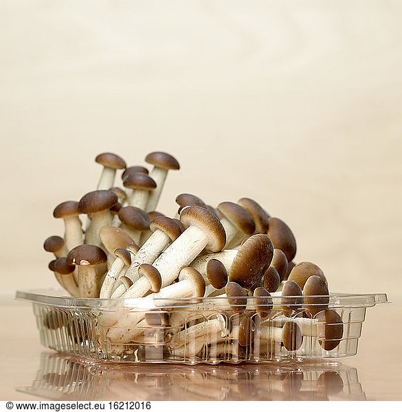 Mushrooms in plastic box  close-up