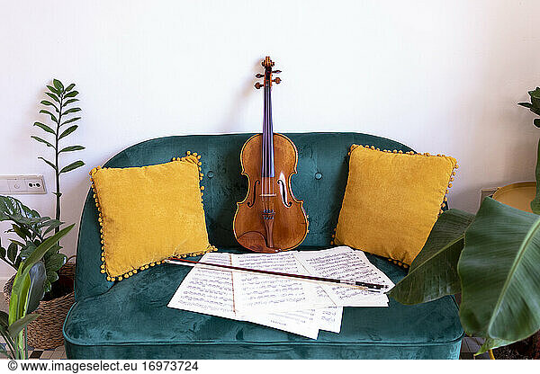 Musical instrument supported by a Chesterfield.