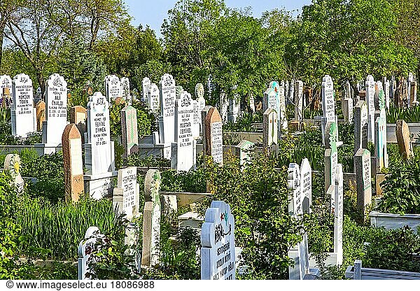 Muslimischer Friedhof  Konya  Türkei  Konya  Türkei  Asien