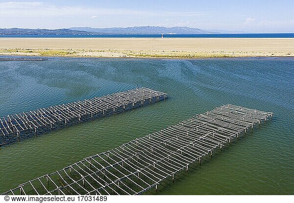 Mussel and oyster farming in the Bahia del Fangar  aerial view  drone shot  Ebro Delta Nature Reserve  Tarragona province  Catalonia  Spain  Europe