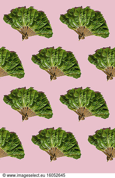 Muster von Handfächern aus Salatblättern