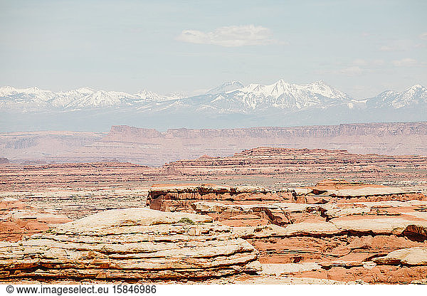 muted red tones on a sunny day overlooking the maze canyonlands utah