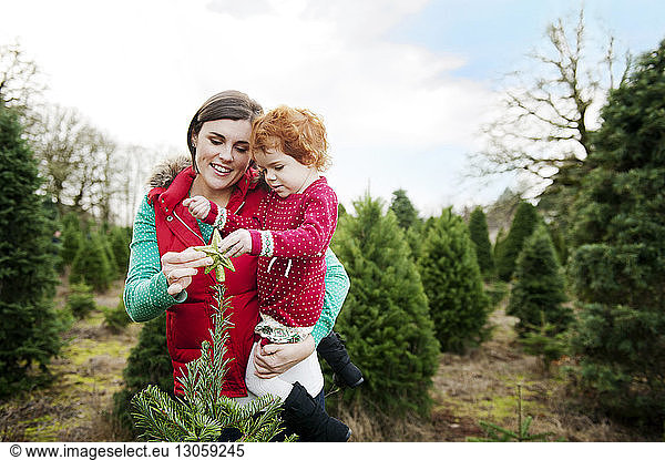 Mutter trägt Tochter  während sie auf dem Bauernhof eine Baumkrone auf den Weihnachtsbaum setzt