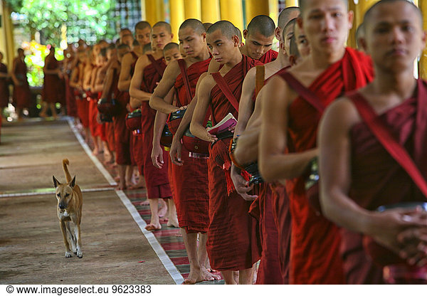 Myanmar  Bago City  Buddhistische Mönche zu Fuß