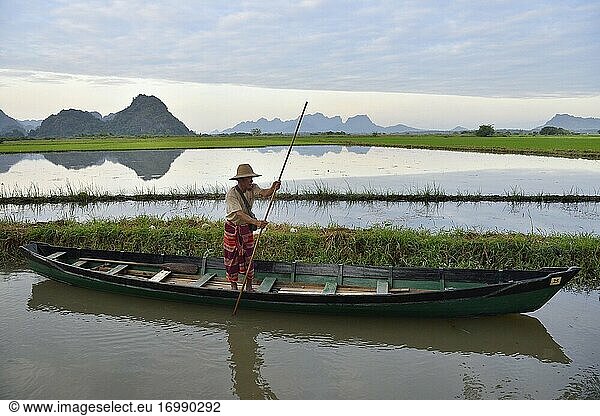 Myanmar  Kayin (Karen) State  Hpa-An  Saddar cave surroundings  Boatman cruising on flooded paddy fields.