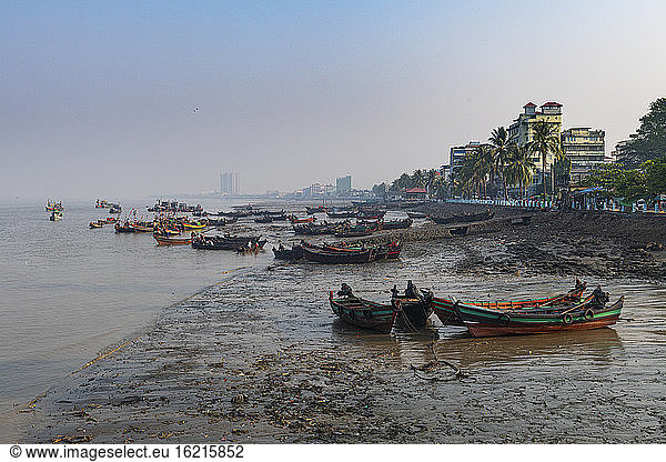 Myanmar  Myeik  Fishing boats in harbor