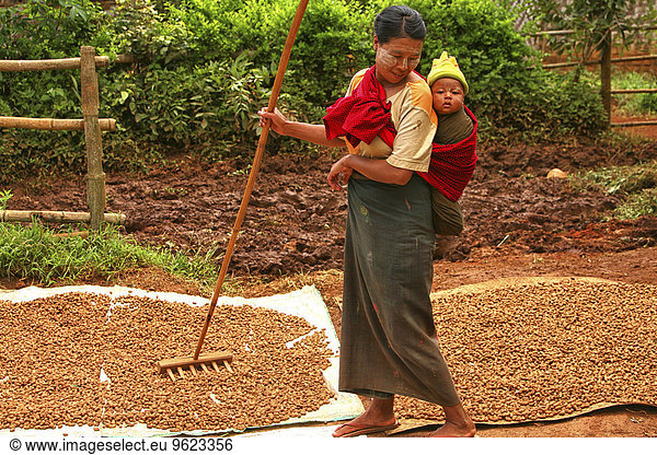 Myanmar  working mother carrying child on back