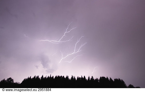 Nächtliches Gewitter mit Blitz Entladungen  Nicklheim  Bayern  Deutschland  Europa