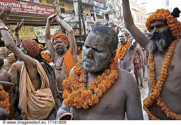 Naga-Parade am Shivaratri-Tag in B?nares zum Abschluss der Kumbh Mela in Allahabad  UP  Indien.