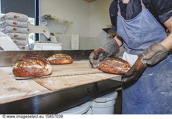 Nahaufnahme eines Bäckers  der frisch gebackenes Brot auf eine bemehlte Oberfläche legt