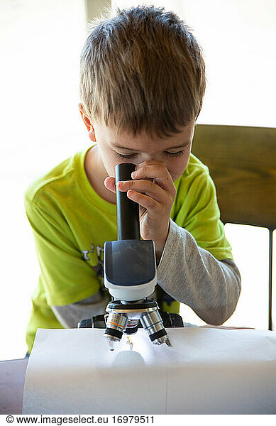 Nahaufnahme eines Jungen  der durch ein Mikroskop auf einen Käfer schaut