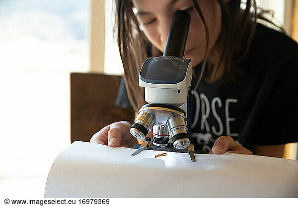 Nahaufnahme eines Mädchens  das einen Käfer unter dem Mikroskop betrachtet