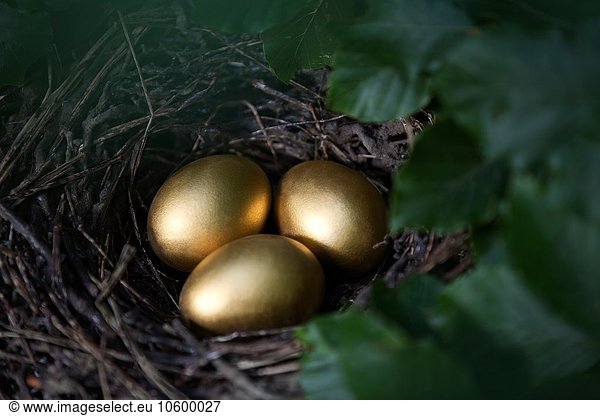 Nahaufnahme von drei goldenen Eiern im Vogelnest